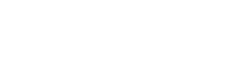 Bizaide